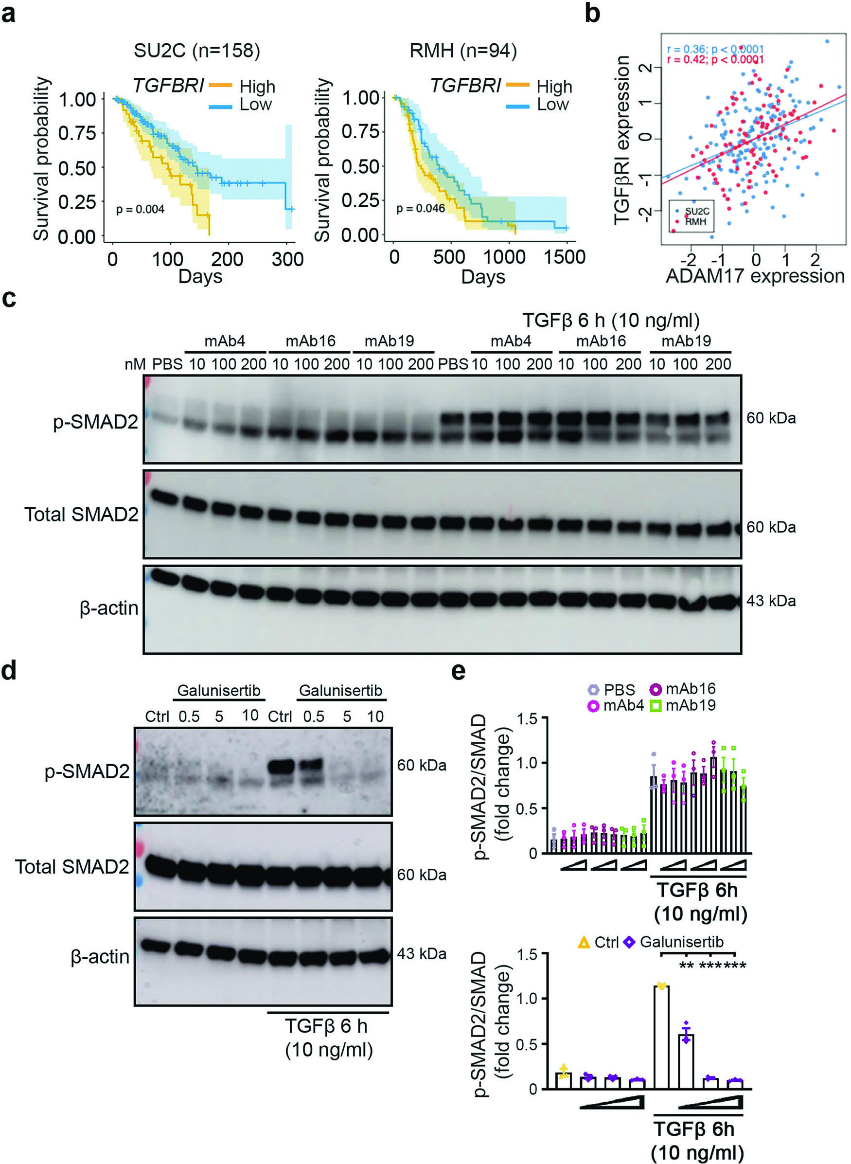 Figure 1 - TGFBR1 survival correlation and ADAM17 expression data
