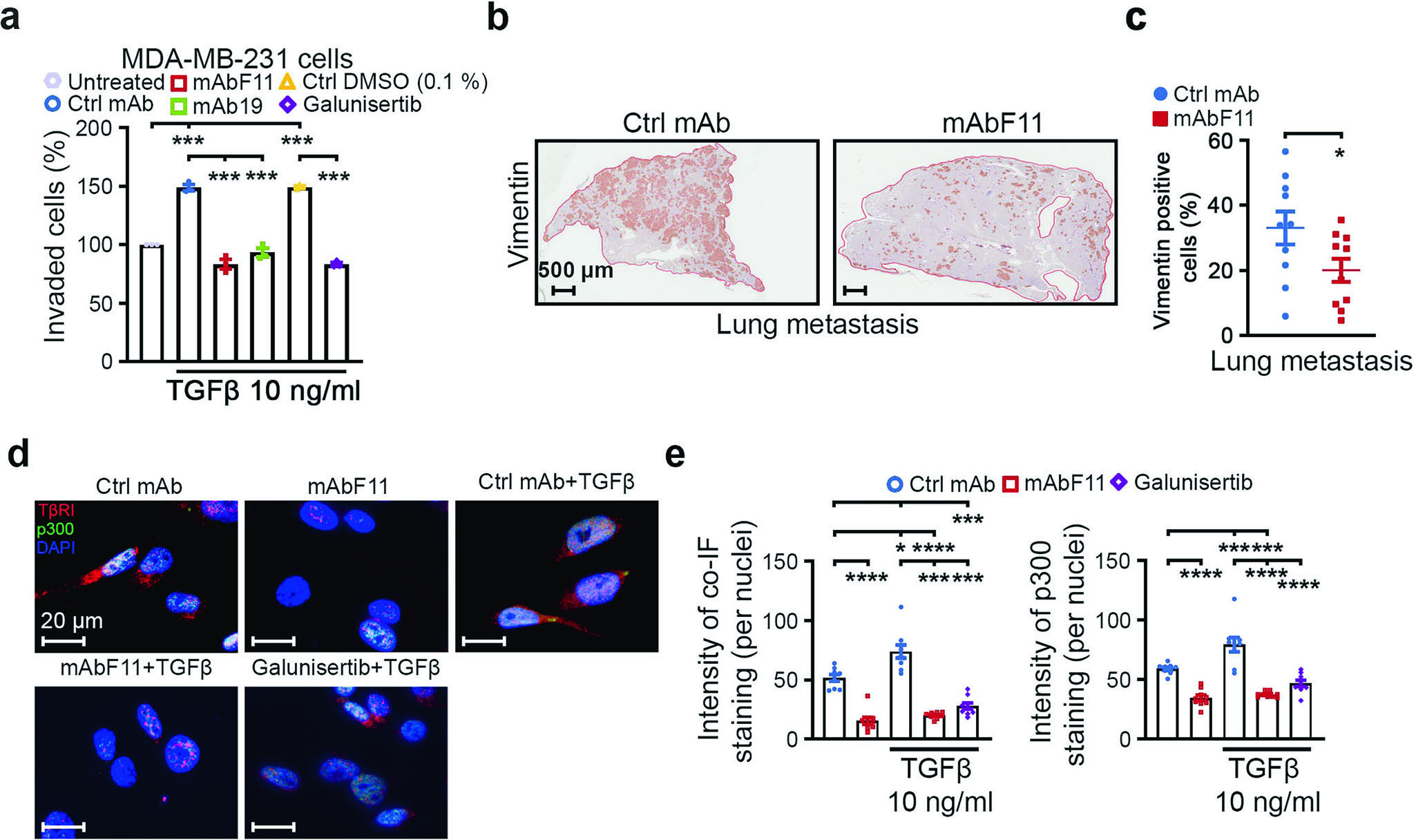 Figure 9 - mAbF11 effects in triple negative breast cancer model