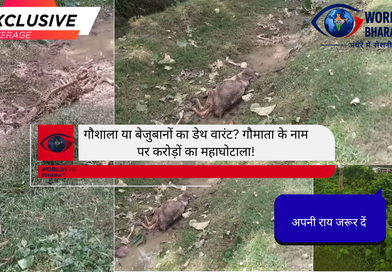 🚨 WORLD EYE BHARAT NEWS – EXCLUSIVE GROUND REPORT 🚨‎गौशाला या बेजुबानों का डेथ वारंट? गौमाता के नाम पर करोड़ों का महाघोटाला!